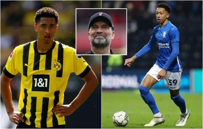 既专业又可 既专业又可